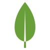 logo mongoDB